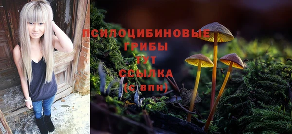 ГАЛЛЮЦИНОГЕННЫЕ ГРИБЫ Новозыбков