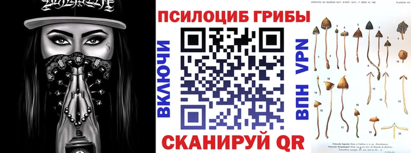 Псилоцибиновые грибы прущие грибы  Старая Русса 