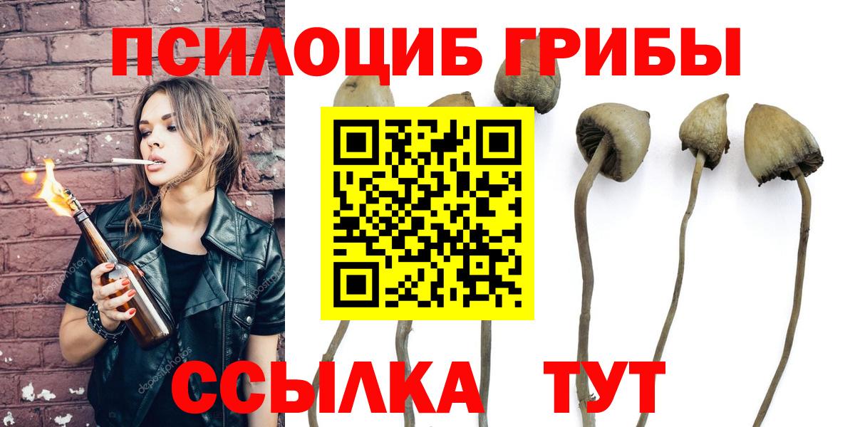 Псилоцибиновые грибы Magic Shrooms Старая Русса